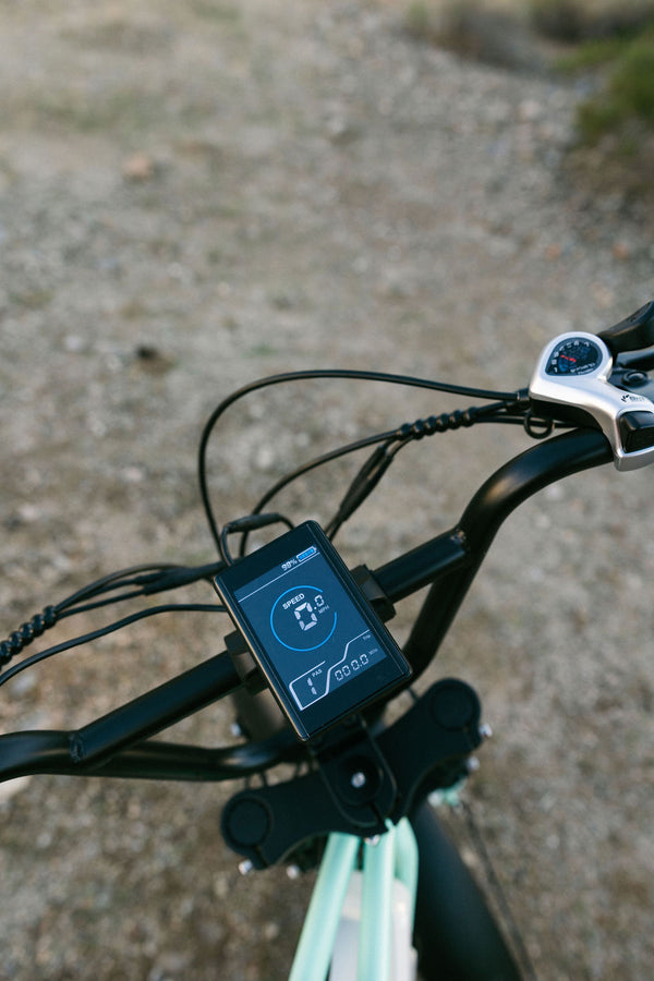 ONE YEAR ANNIVERSARY LOU