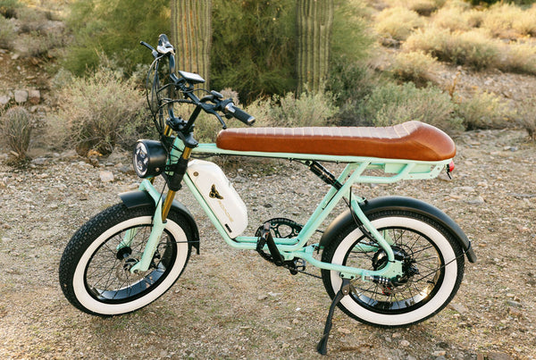 ONE YEAR ANNIVERSARY LOU