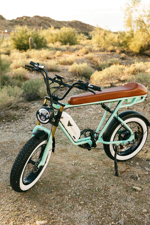 ONE YEAR ANNIVERSARY LOU