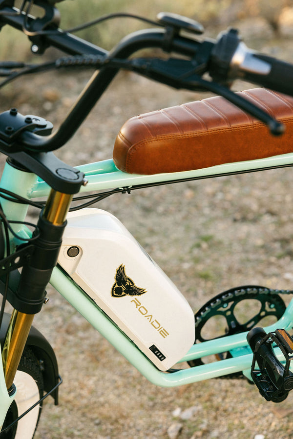 ONE YEAR ANNIVERSARY LOU