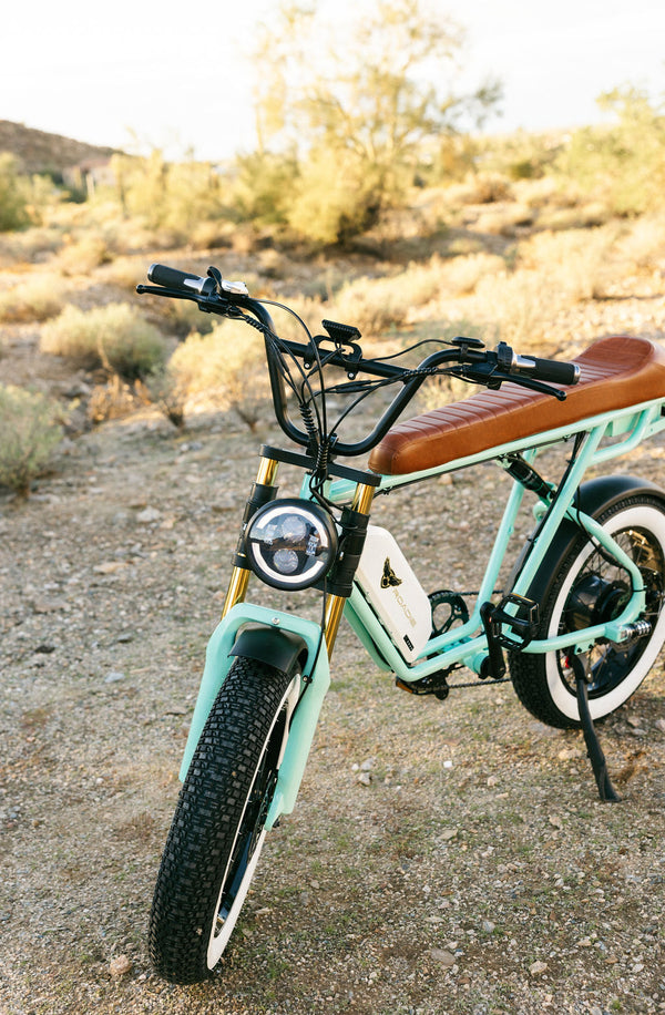 ONE YEAR ANNIVERSARY LOU