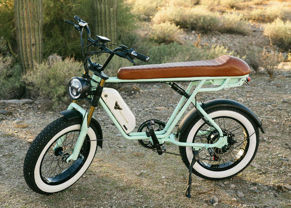 ONE YEAR ANNIVERSARY LOU