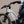ROADIE RACER 20