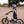 ROADIE RACER 20