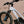 ROADIE RACER 20