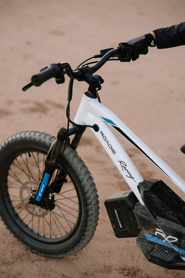 ROADIE RACER 20"