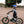 ROADIE RACER 20